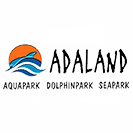 logo19